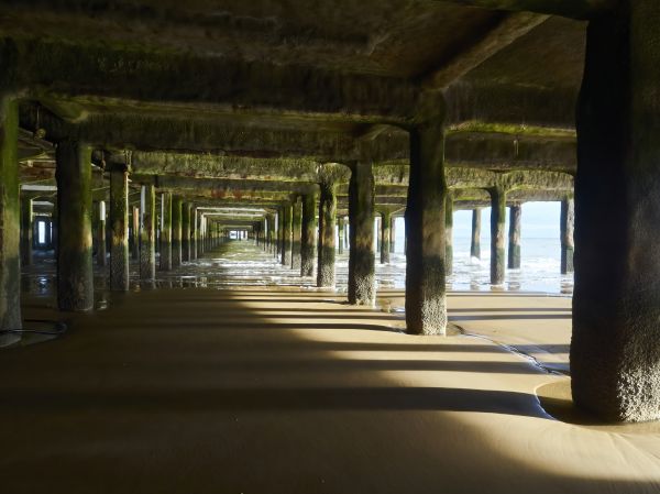 Cost of Concrete Pier Repair in Parker